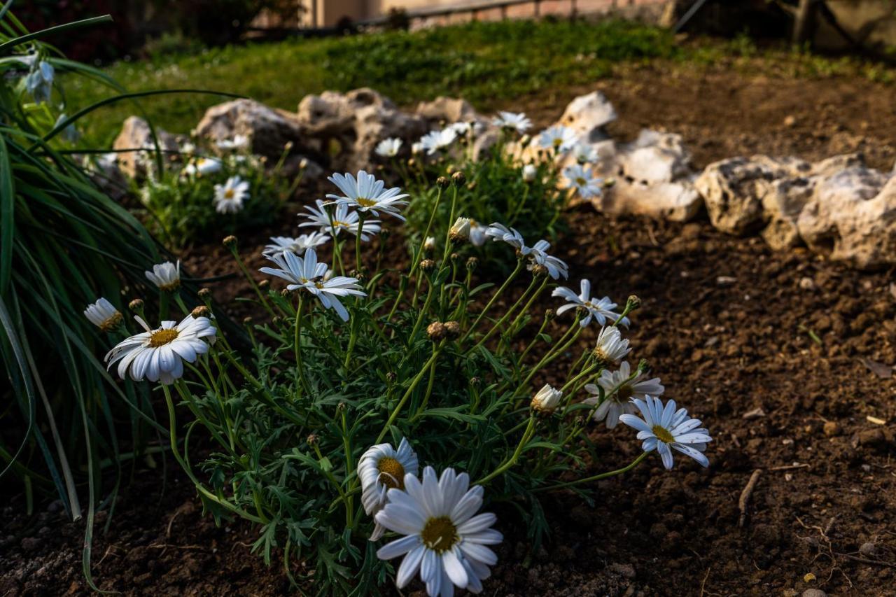 蒙特卡蒂尼泰尔梅La Gardenia公寓 外观 照片